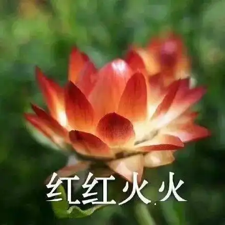 周末影院岁末年初,选哪部电影陪你跨年附资源

