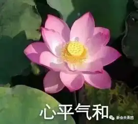 2018年度汉字大盘点丨哪些是你常用的词语呢
