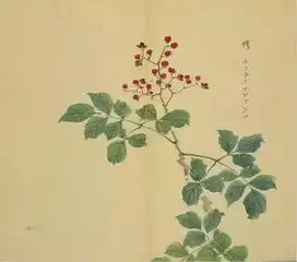 这三百首诗美了三千年,而你却连字都认不全
