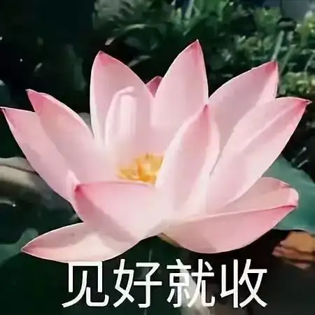 真正的勇士,春节敢于直面亲戚的提问l心理扭蛋机
