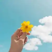 2021年最好的微信头像2021最好看个性头像
