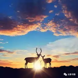 法科毕业生如何确定毕业论文选题
