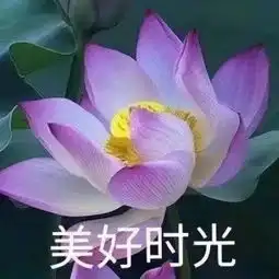 老了,该更新表情包了
