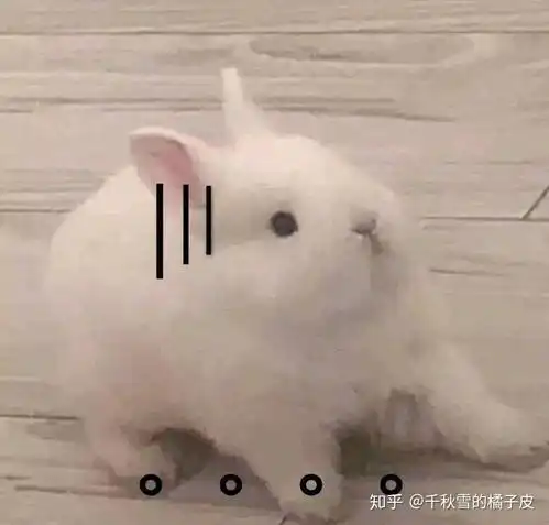 为啥蜜雪冰城不让我点不加珍珠的有料四季春
