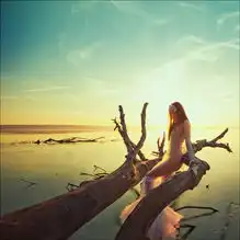 每一天出生滴女生都有属于滴婚纱呦
