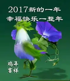 二胡琵琶钢琴合奏花好月圆夜演奏陈军赵聪等
