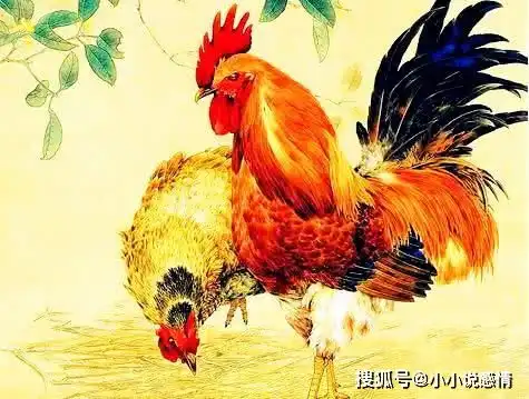 6月底行好运,心想事成,诸事顺心的4生肖
