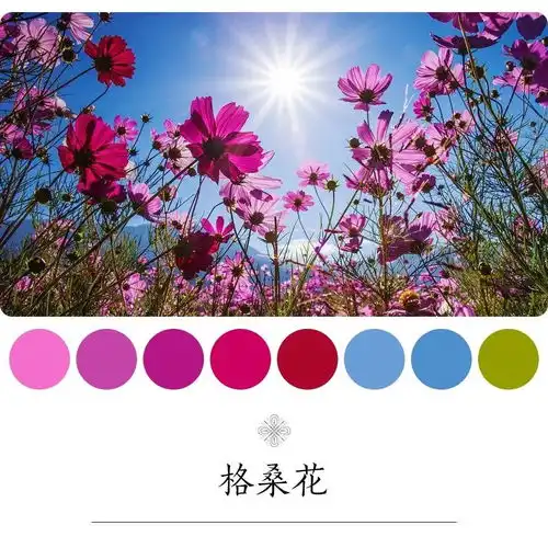 有些城市看起来清心寡欲,其实一到春天就色到不行

