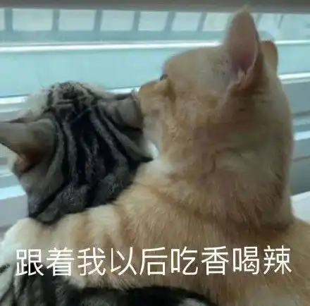 还有谁被坑了,看完这篇文章,让你拥有免费的fiddler
