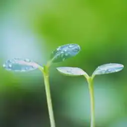 周老师的博客菁优网
