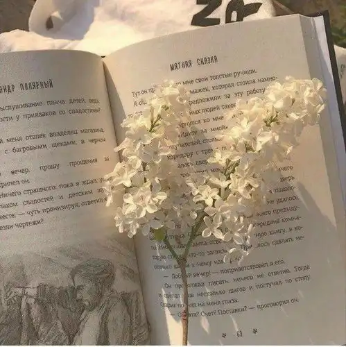 朋友圈背景图今日晴,宜富贵
