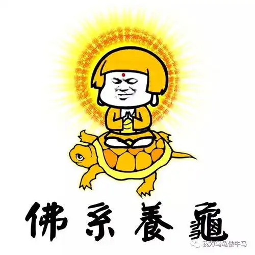佛系养龟,谁能做的到
