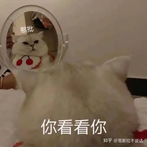瑶到底是哪里出问题了请把题目全部看完为什么这么弱
