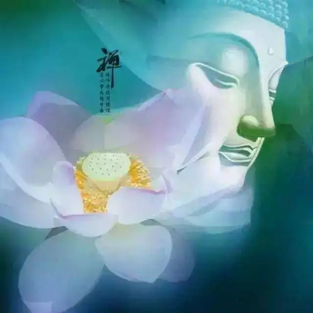 佛说你若善良,世界才宽阔卍
