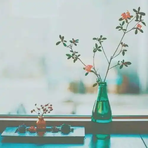 好文推荐嘘告诉你,赚钱的秘密
