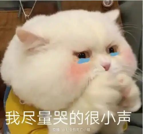 任何人都无法用爱意将月亮私有化
