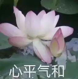 雷电预警短时强降雨9级风崂山下冰雹了
