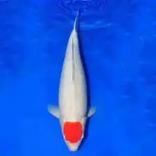 黄页88网
