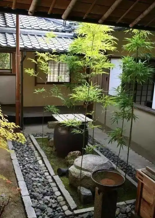 园林设计丨佛系庭院,就是极致空灵
