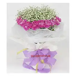 时尚鲜花网无以回报,时尚鲜花网,手机版手机版
