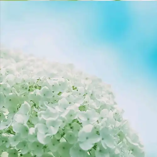 有没有佛系的头像推荐
