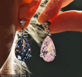 用着肉疼揭秘全球土豪的专属天价物品
