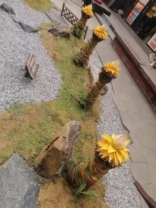 千叶莲诗词一组,佛系花朵里的禅意
