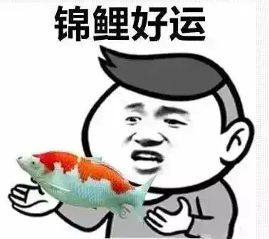 活力外院原来你是这样的佛系考生
