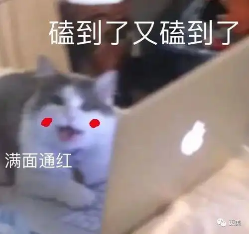 他终于要离了9年后,全网求这对顶流男cp复合
