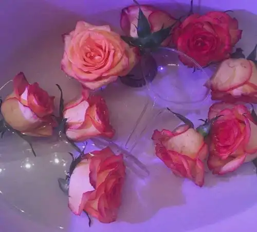 实力很强,对感情却比较佛系的星座,更愿意把时间花在自己身上
