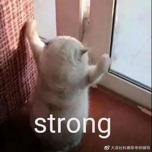 有人提前查到分了今年考研线下复试
