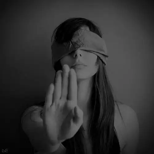 我的收藏
