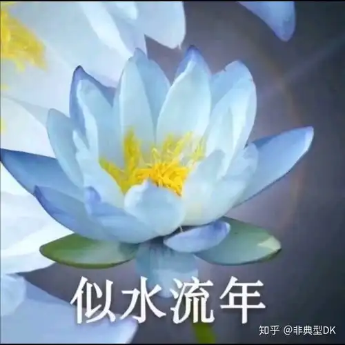 有哪些中老年女性适合的头像
