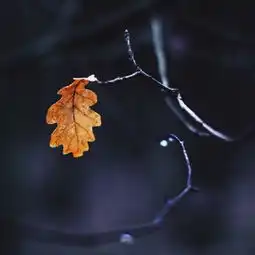 聆听愿你,终被岁月温柔以待
