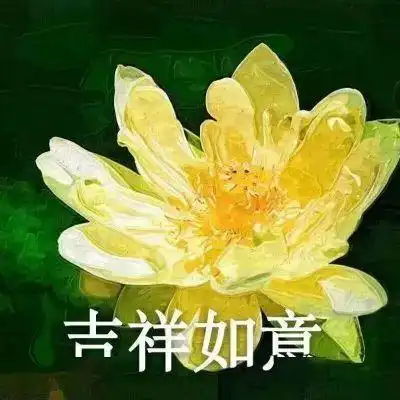 这场近两千人收听的志愿填报干货讲座,精华都在这里
