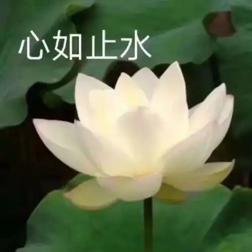 怒气值拉满他们竟在高速上做出这样的举动
