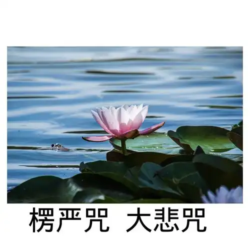 佛教楞严咒普通话标准朗读

