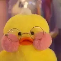 最近很火的鸭子头像微信头像图片大全
