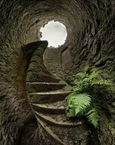 玄辞
