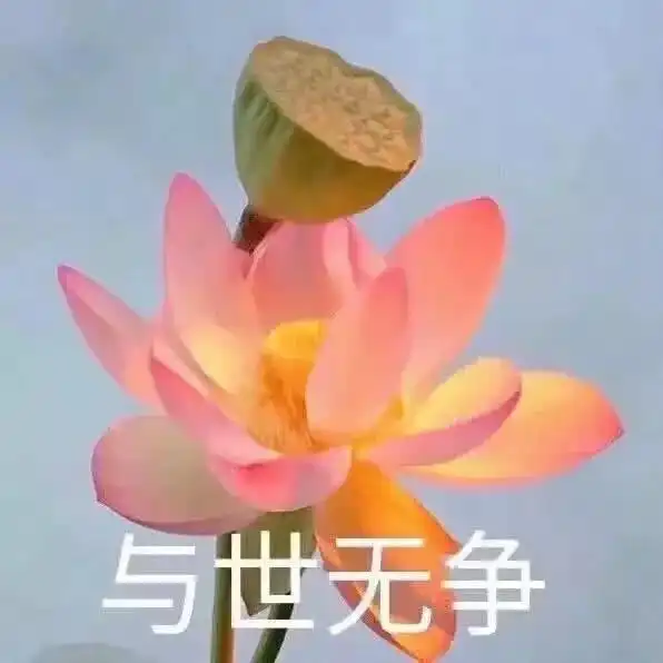 老祖宗留下的十大天规
