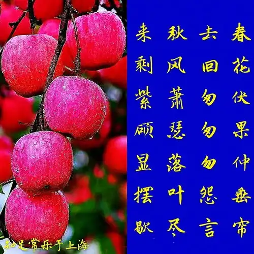 知足常乐0724的头条主页今日头条
