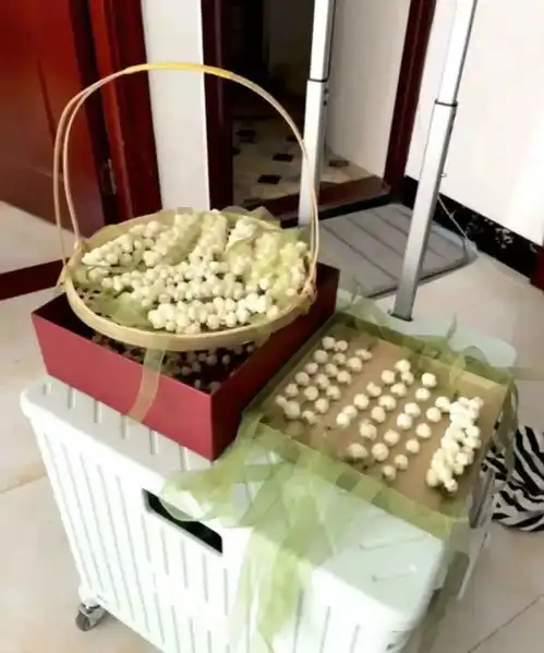 年轻人佛系摆摊边卖边送不为赚钱图个开心
