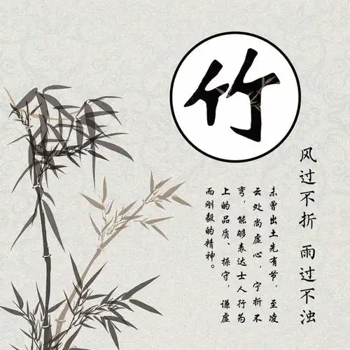 喜欢竹子的低调淡雅,14张竹子带姓氏的头像,悄悄送给有缘人

