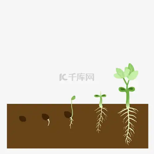 春季种子发芽生长素材图片免费下载千库网
