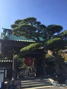 镰仓一日千年穿越之旅
