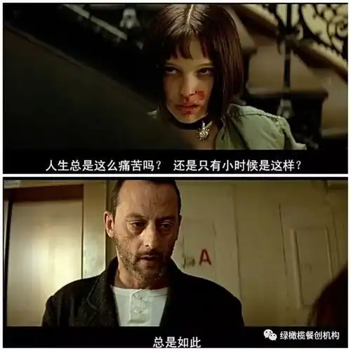 蔬方x这个杀手不太冷
