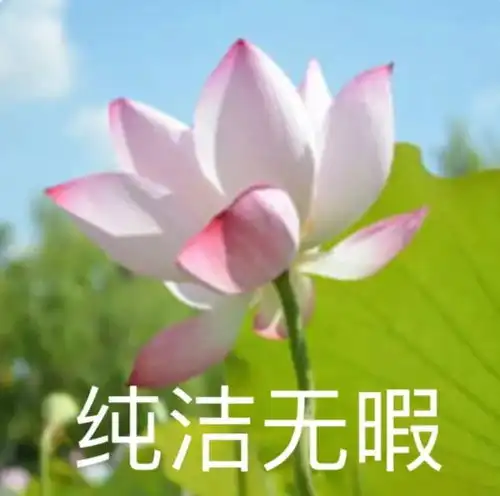 21句又拽又野的幽默文案
