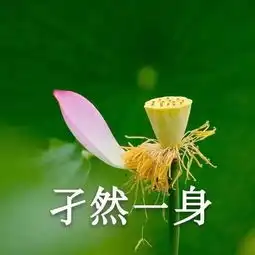 开学找爸妈要钱的第一步是换上他们喜欢的头像
