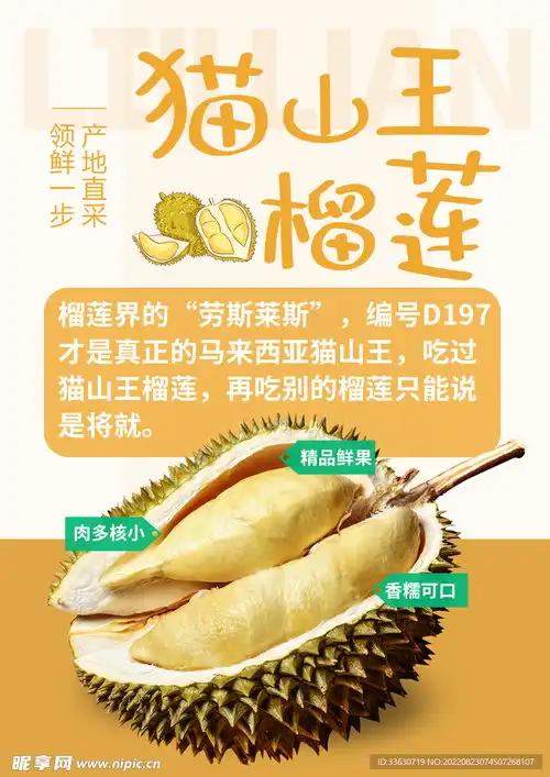 猫山王榴莲海报设计图

