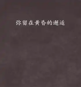 弥留在黄昏的邂逅
